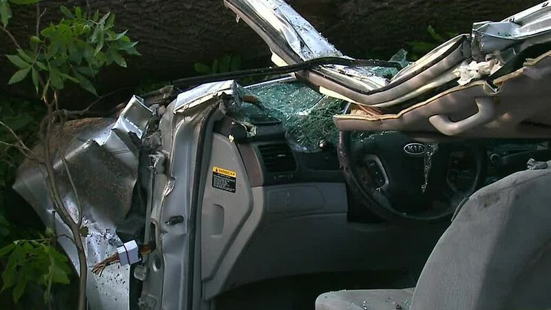 A woman was seated in her parked car near the Grove when a tree fell and crushed her car.