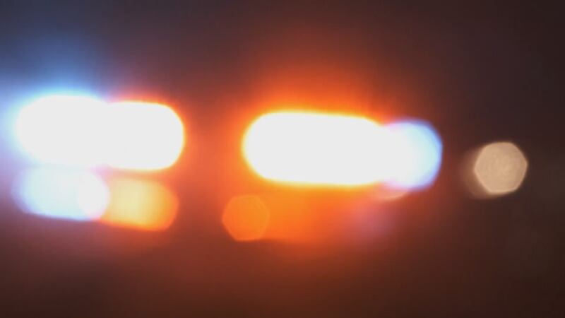 Republican Senator Chris Elliott says his Senate Bill 28 would give Alabamians with specific...