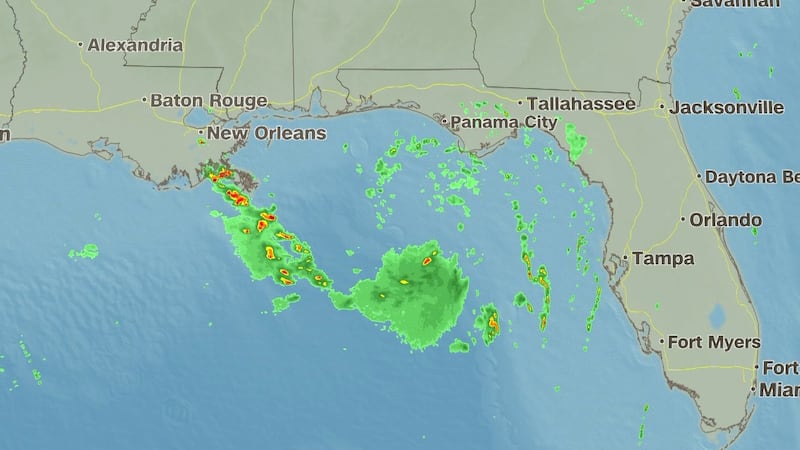 Tropical Storm Bertha was expected to stay near or along the northern Gulf Coast early this...