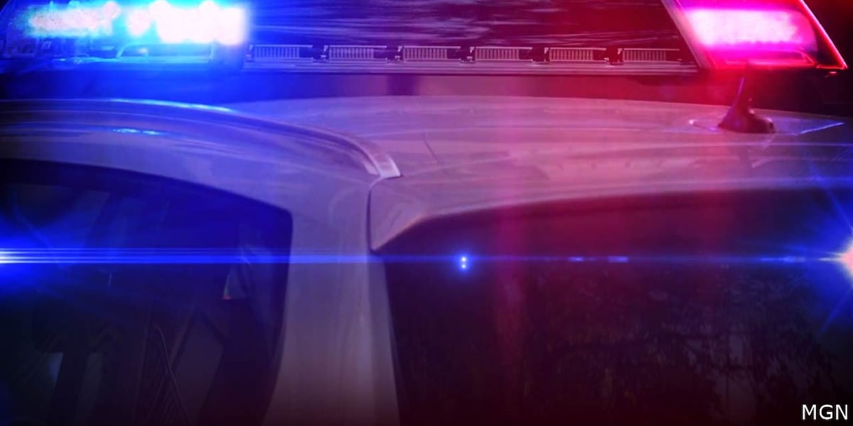 New Brockton man killed after being hit by vehicle