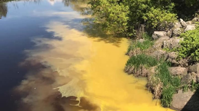 Bacteria In River Alabama cracks down on E. coli bacteria in rivers with revised standards