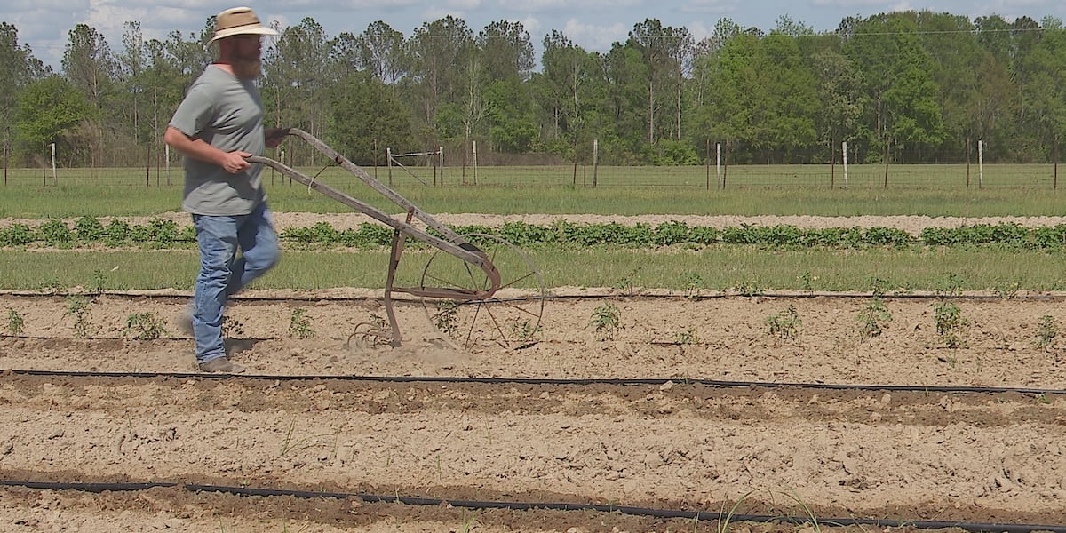 Why the Barretto family is proud to be farmers