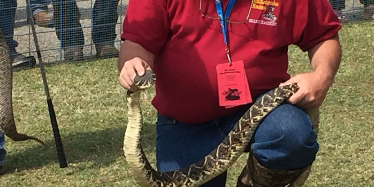 Snake Rodeo Rattlesnake Rodeo returns to Opp