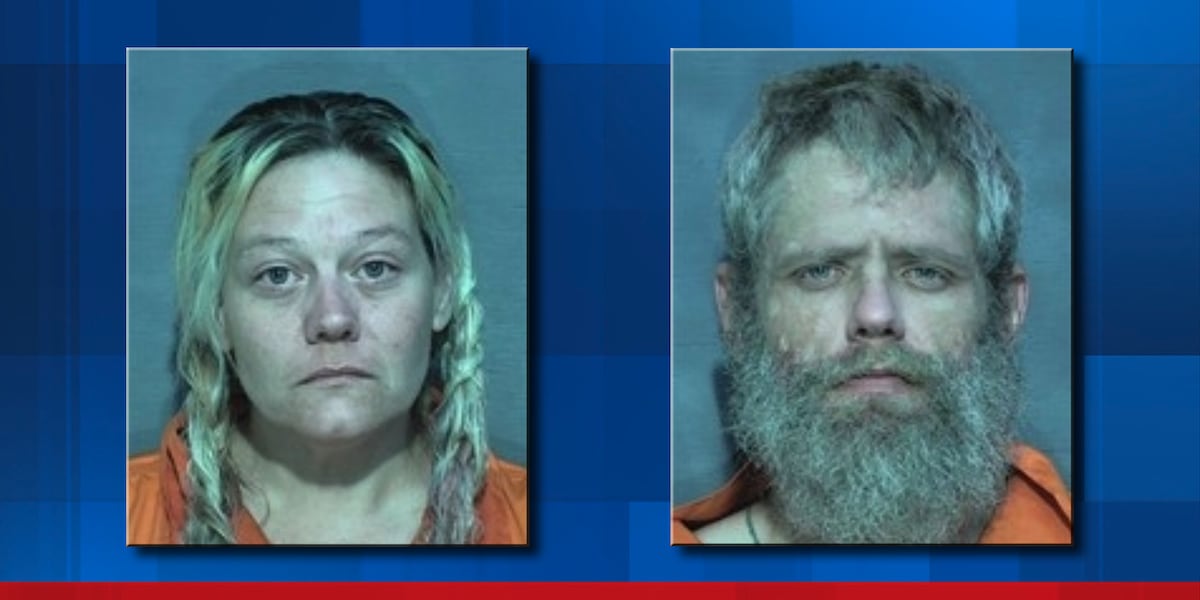 Police: Pair used fake $50 bill to pay for Dothan pizza delivery