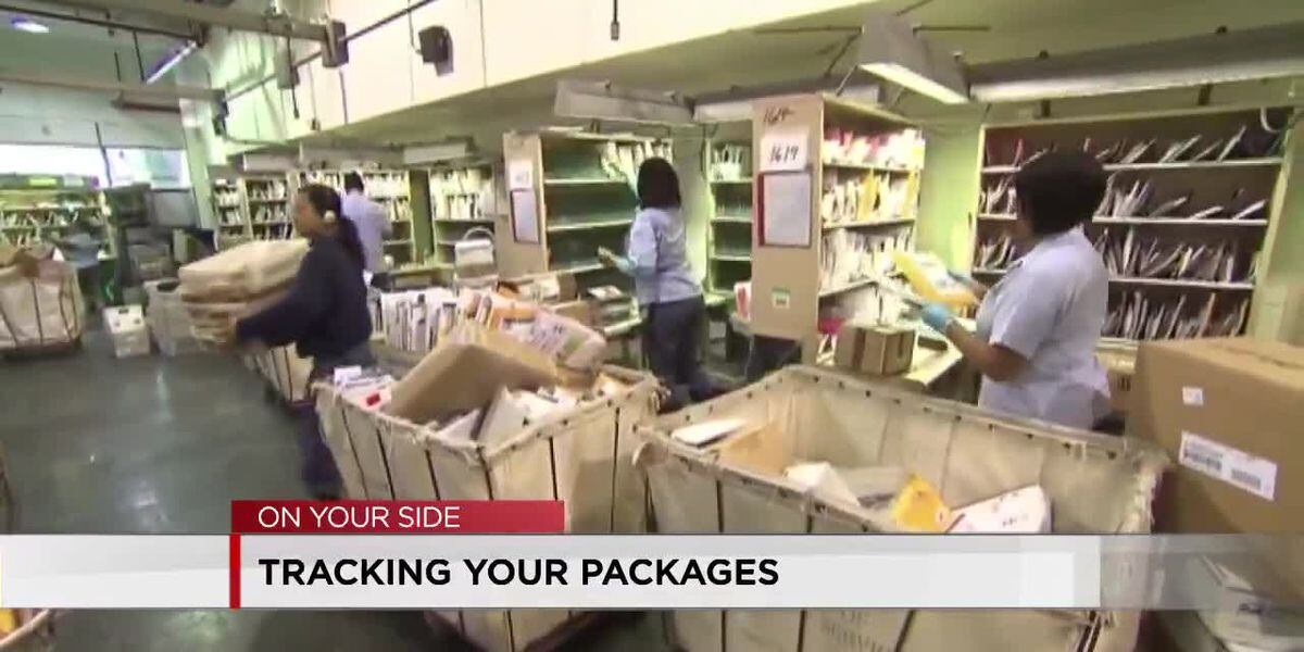 Shipping Expert Says Delayed Holiday Packages Should Arrive By End Of shipping-expert-says-delayed-holiday-packages-should-arrive-by-end-of