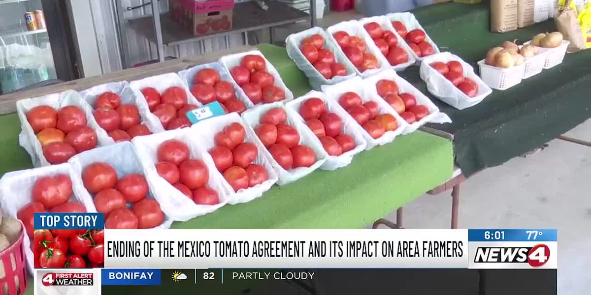 Alabama Fruit and Vegetable Growers’ Association says end of Mexico tomato agreement is a win for Alabama farmers