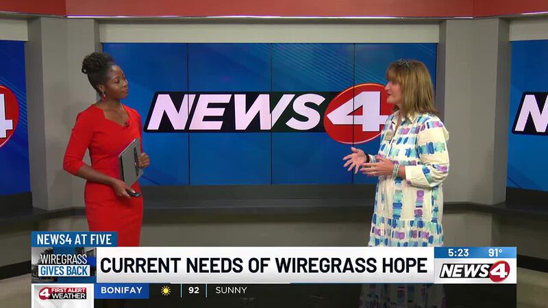 Wiregrass Hope Group Executive Director Susan Anderson visits News4 to share how people can...