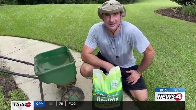 To take advantage of the rising rain chances, David marches through his yard, cutting grass...